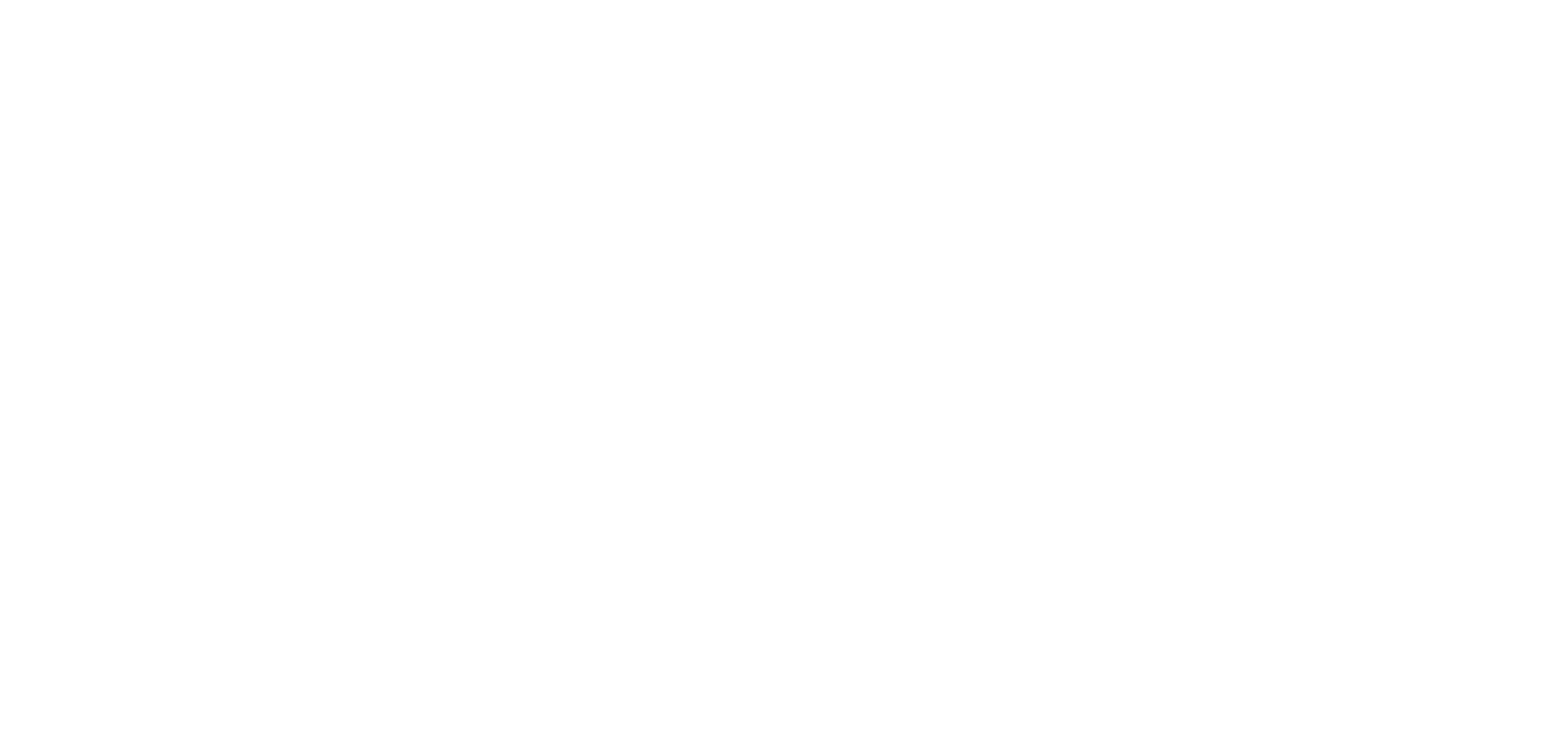 Logo Singular